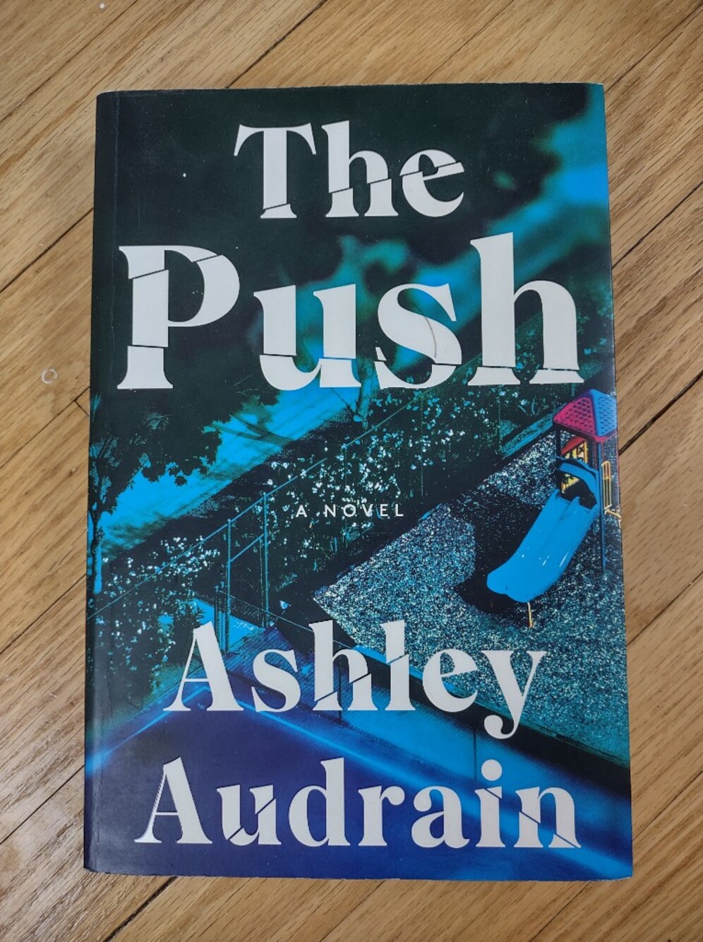 The Push by Ashley Audrain